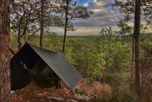 A camping setup with a tarp and hammock nestled among tall pine trees, overlooking a lush green landscape.