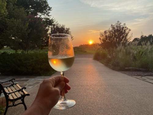A hand holds a glass of white wine against a sunset backdrop, with greenery and a pathway in the foreground.