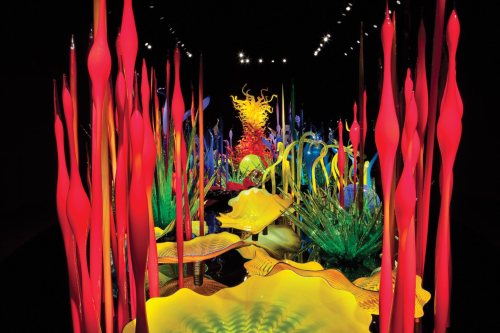 Colorful glass sculptures resembling underwater flora in a dark exhibition space, illuminated by soft lighting.