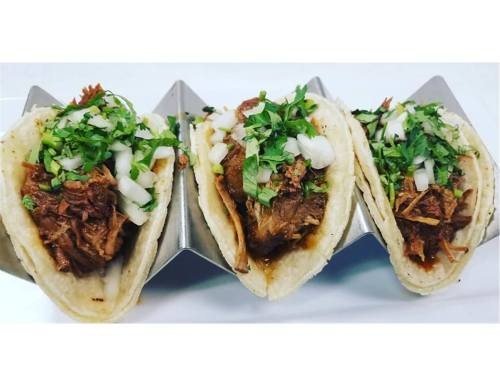 Three tacos filled with shredded meat, topped with chopped onions and cilantro, served in a taco holder.