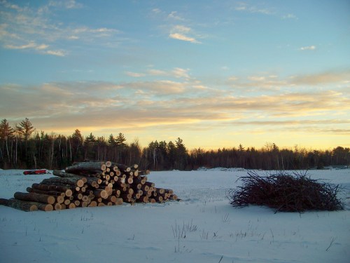 A snowy landscape at sunset, featuring stacked logs and a pile of branches, with trees in the background.