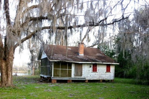 An old, weathered house with a rusty roof, surrounded by trees draped in Spanish moss.