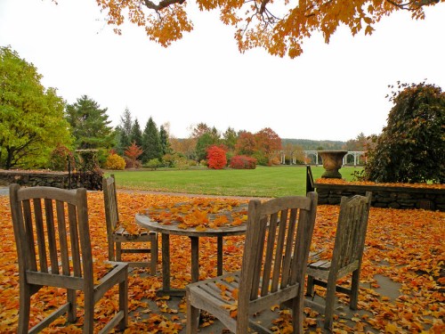 A serene outdoor scene with wooden chairs around a table, surrounded by vibrant autumn leaves and colorful trees.