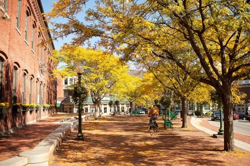 A sunny autumn scene with yellow trees lining a brick walkway, a cyclist passing by, and a cozy building in the background.