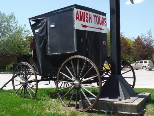 A black Amish buggy with a sign reading "Amish Tours" parked beside a post in a grassy area.