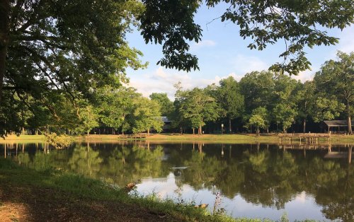 A serene lake surrounded by lush green trees, reflecting the landscape under a clear blue sky.