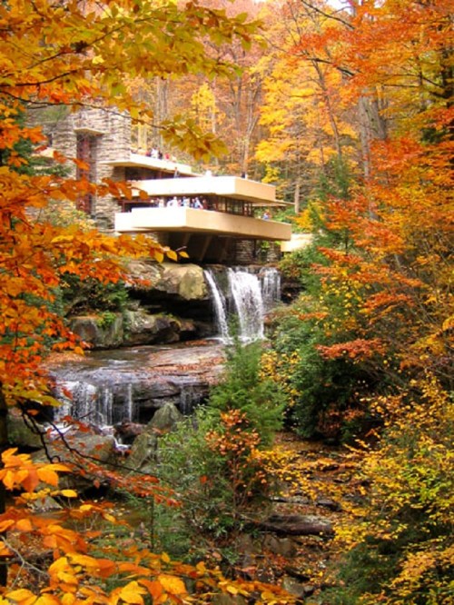A modern house perched over a waterfall, surrounded by vibrant autumn foliage in a serene forest setting.