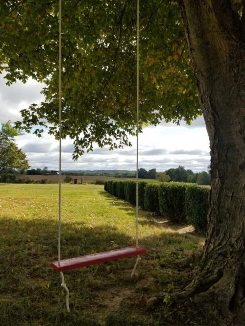 A red swing hangs from a tree, surrounded by green grass and hedges under a cloudy sky.