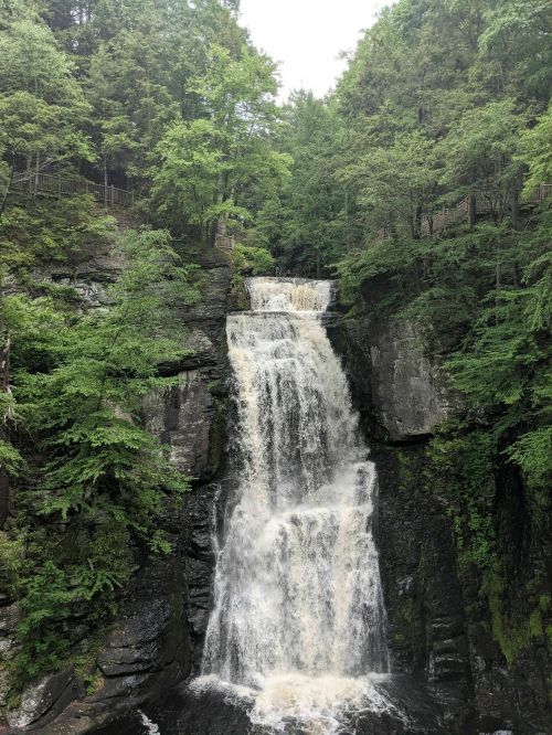 A cascading waterfall surrounded by lush green trees and rocky cliffs.