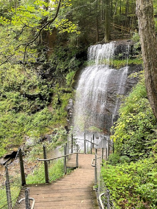 A serene waterfall cascades down a rocky cliff, surrounded by lush greenery and a wooden pathway leading to it.