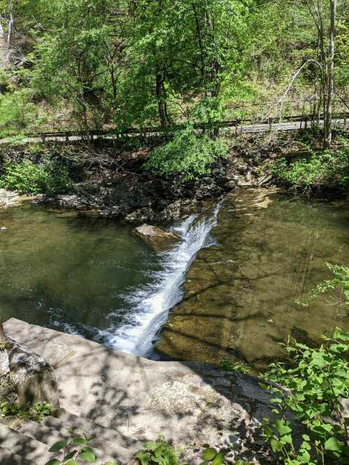 A serene stream flows over rocks, surrounded by lush greenery and a path in the background.