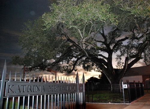 A large tree stands near the Katrina Memorial, surrounded by a black iron fence under a twilight sky.