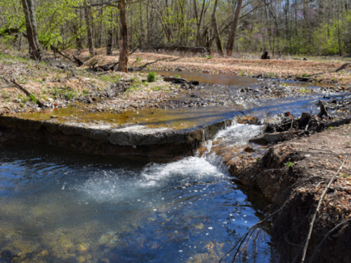 A serene stream flows over a rocky ledge, surrounded by trees and fallen leaves in a peaceful natural setting.