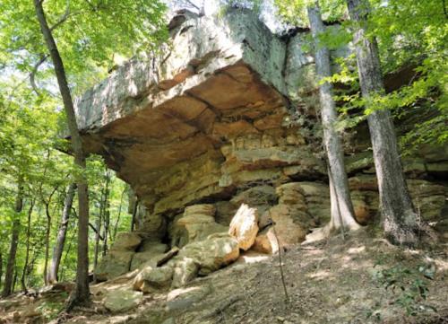 A large rock formation with a flat overhang, surrounded by trees in a lush green forest.