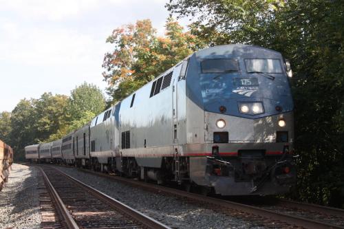 Amtrak train 175 traveling along a tree-lined track on a sunny day.