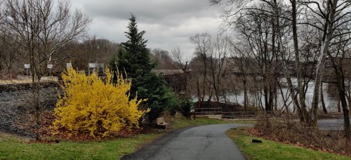 A winding path leads through trees and yellow bushes, with a river and bridge visible in the background under cloudy skies.