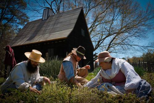 Three people in historical attire gather plants in a garden near a rustic black house on a sunny day.