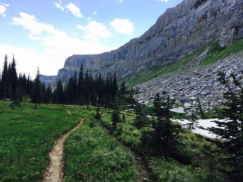A winding dirt path through a lush green meadow, surrounded by tall trees and rocky cliffs under a blue sky.