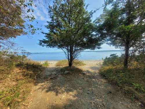 A serene path leads to a calm beach, framed by trees under a clear blue sky.