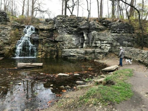 A person stands by a small waterfall and pond, with a dog nearby, surrounded by rocky terrain and trees.