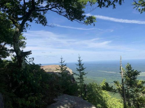 A scenic view from a mountain top, featuring trees and a vast landscape under a clear blue sky.