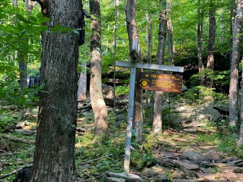 A wooden trail sign in a lush forest, directing to various natural attractions. Sunlight filters through the trees.