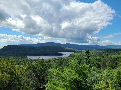 A scenic view of a lake surrounded by lush green forests and mountains under a partly cloudy sky.