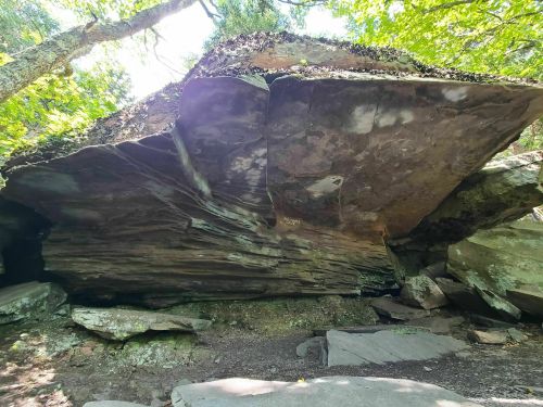 A large, overhanging rock formation surrounded by trees and smaller rocks on the ground.