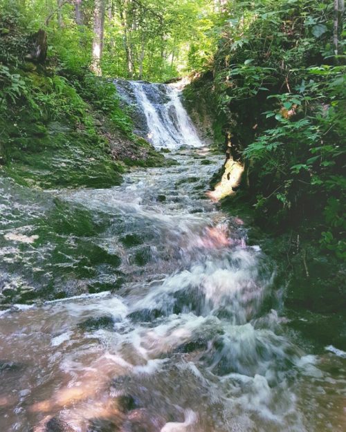 A serene waterfall cascading over rocks, surrounded by lush green foliage in a tranquil forest setting.