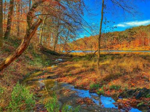 A serene landscape featuring a stream, colorful autumn foliage, and a clear blue sky reflecting on the water.