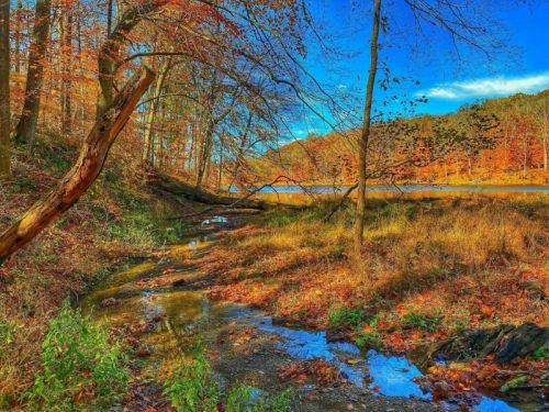 A serene landscape featuring a stream, colorful autumn foliage, and a clear blue sky reflecting on the water.