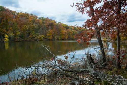 A serene lake surrounded by autumn trees with vibrant orange and yellow leaves under a cloudy sky.