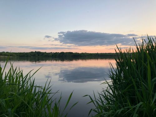 A serene lake at sunset, surrounded by tall grass and reflecting soft clouds in the calm water.