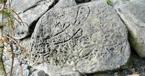 Petroglyphs carved into a large rock, featuring abstract designs and figures, surrounded by smaller stones and vegetation.