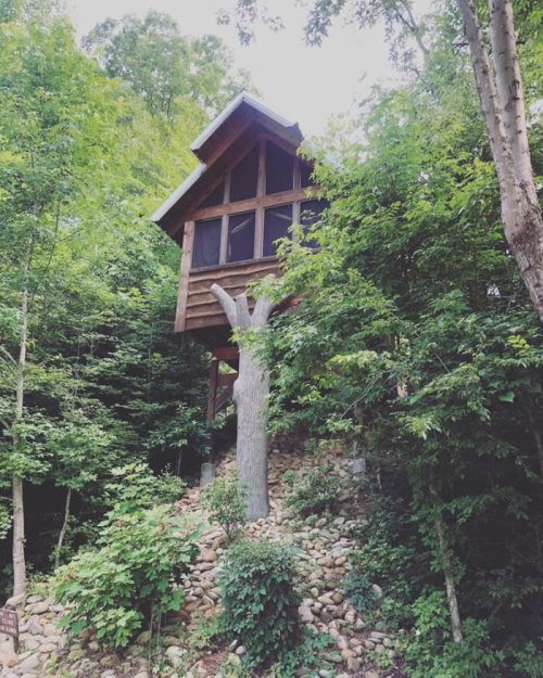 A wooden cabin nestled among lush green trees on a hillside, surrounded by rocks and foliage.