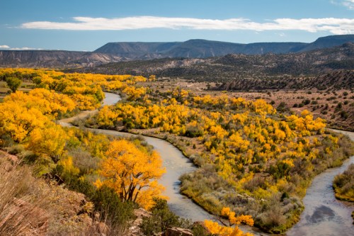 A winding river flows through a landscape of vibrant yellow trees and rolling hills under a blue sky.