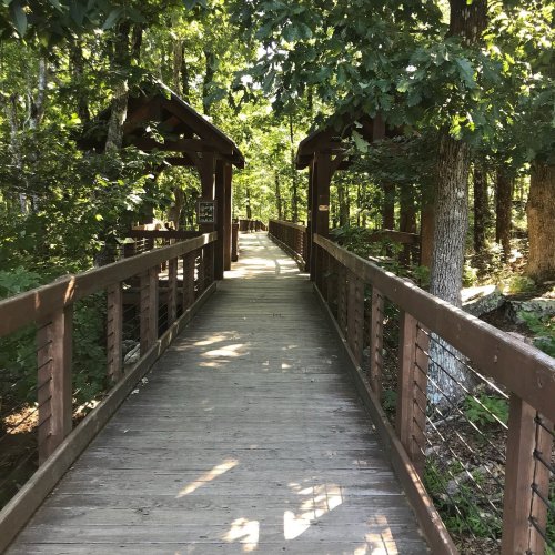 A wooden walkway through a lush green forest, flanked by trees and shaded by a canopy above.