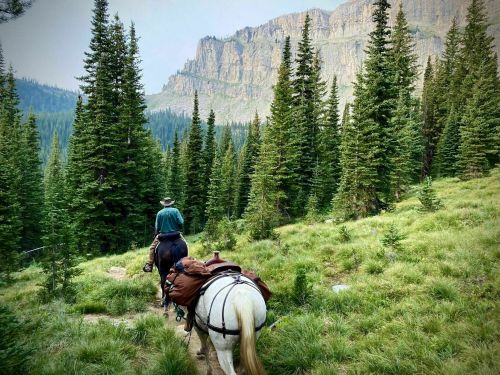 A person on horseback rides through a lush green forest with towering mountains in the background.