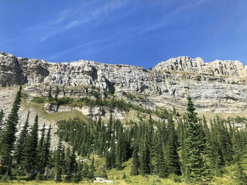 A rocky mountain landscape with steep cliffs and lush green pine trees under a clear blue sky.