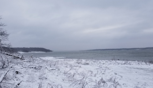 A snowy landscape by a river, with overcast skies and a calm water surface.