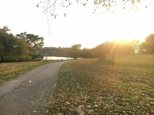 A serene path lined with fallen leaves, leading towards a lake at sunset, with trees in the background.