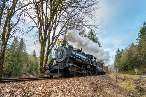 A vintage steam train chugs along a forested track, billowing smoke against a cloudy sky.
