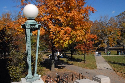 A park scene with vibrant autumn trees, a lamp post, and bicycles parked nearby under a clear blue sky.