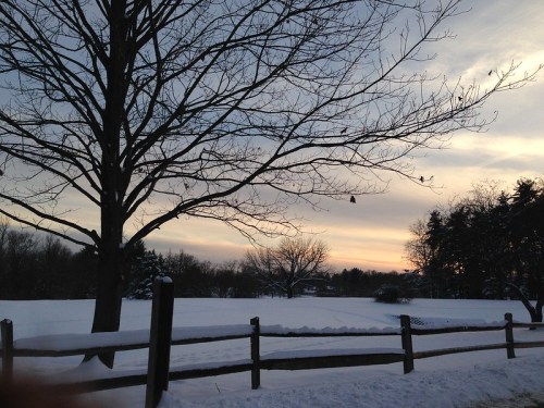 A winter landscape featuring a bare tree, a snow-covered field, and a colorful sunset in the background.