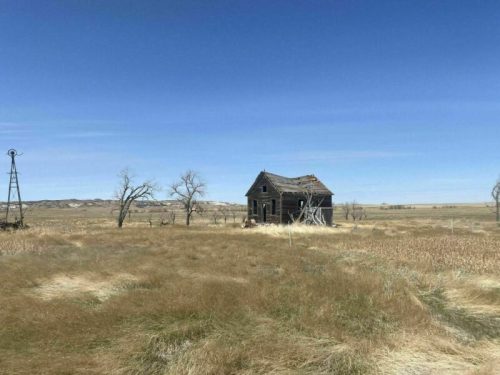 An abandoned house in a grassy field, with a windmill and sparse trees under a clear blue sky.