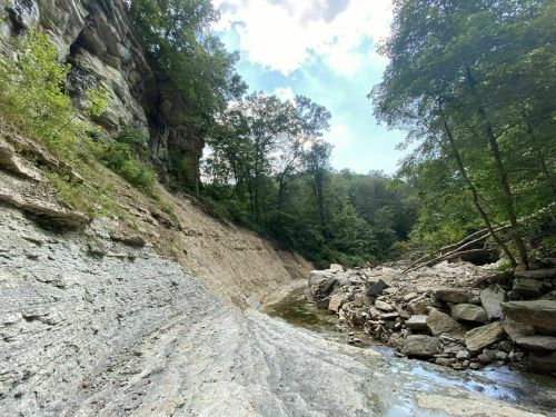 A rocky riverbed surrounded by steep cliffs and lush green trees under a partly cloudy sky.