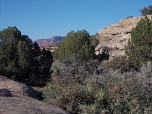 A rocky landscape with green shrubs and trees, featuring distant red rock formations under a clear blue sky.