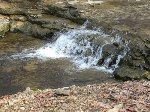 A small waterfall cascades over rocky terrain into a clear stream, surrounded by pebbles and dry leaves.