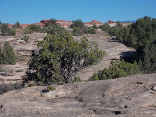 A rocky landscape with scattered trees and red rock formations under a clear blue sky.