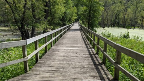 A wooden boardwalk stretches through lush greenery, leading into a serene natural landscape.